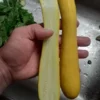 Glabrous Goodness Open-pollinated Zucchini Seeds