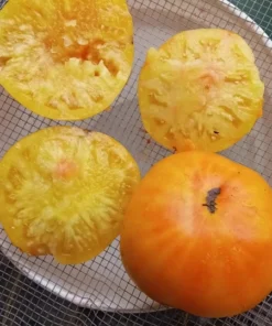 Hensley Settlement Heirloom Tomato (30 Seeds)