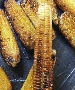 Hickory King Heirloom Dent Corn (75 seeds)