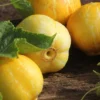 Lemon Cucumber Seeds 30+ Seeds To Grow Heirloom Vegetable