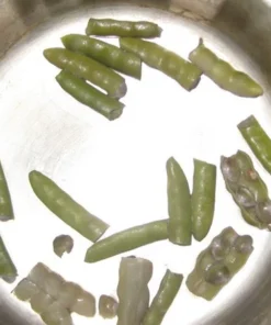 Logan County Greasy Cut-short Heirloom Bean