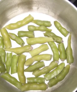 Logan Giant Pole Bean (30 Seeds)