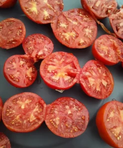 Mountain Princess Heirloom Tomato (30 Seeds)