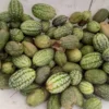 Mouse Melon (Mexican Sour Gherkin) (30 Seeds)