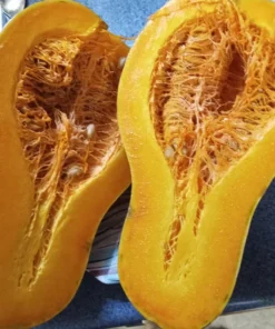 Ozark C. moschata Grex Winter Squash - Insect-Resistant Open-Pollinated (30 seeds)