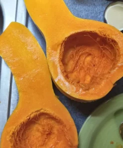 Ozark C. moschata Grex Winter Squash - Insect-Resistant Open-Pollinated (30 seeds)