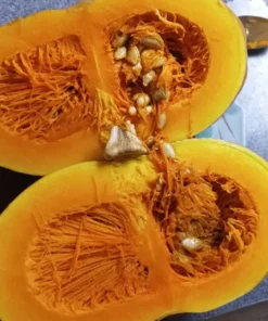 Ozark C. moschata Grex Winter Squash - Insect-Resistant Open-Pollinated (30 seeds)