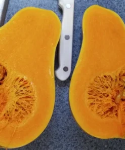 Ozark C. moschata Grex Winter Squash - Insect-Resistant Open-Pollinated (30 seeds)