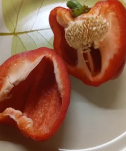 Peace Bell Sweet Pepper Open-pollinated (30 Seeds)