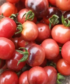 Perfection in Pink Cherry Tomato Seeds