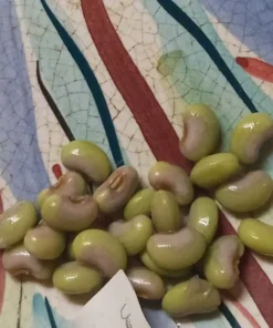 Pinkeye Purple Hull Southern Pea (Vigna unguiculata) 50 Seeds