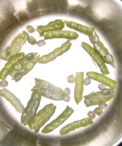 Small Speckled Greasy Cut-short Bean