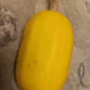 Spaghetti Squash Open-pollinated