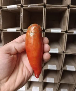 WV Pepper (Federle) Heirloom Paste Tomato (30 Seeds)