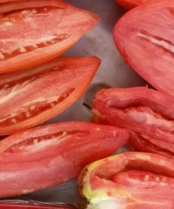 WV Pepper (Federle) Heirloom Paste Tomato (30 Seeds)