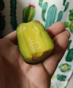 Zumpkin Zucchini Summer Squash Open-pollinated (20 seeds)