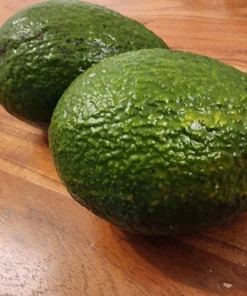 Live Almond Tree 3 Feet - Hardy Fruit Tree for Home Gardens and Orchards