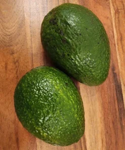 Live Almond Tree 3 Feet - Hardy Fruit Tree for Home Gardens and Orchards