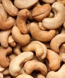 Live Cashew Tree Yellow 1 FT - Fruit and Nut Producing Tree