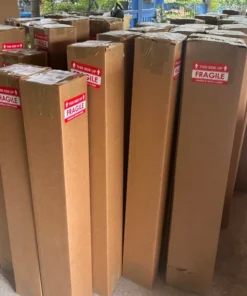 Live Grafted Kaffir Lime Tree Citrus Plant 2 Feet Tall in 1-Gallon Pot