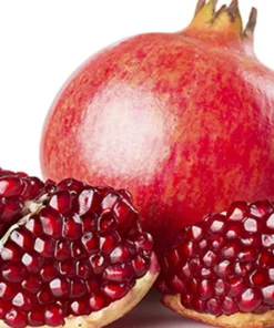 Wonderful Pomegranate Live Plant 12-16in, Cold Hardy, Half Gallon Pot, Sweet Variety