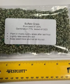 1 Oz Buffalo Grass Seed Native Prairie Sedge Low Maintenance Drought Heat Turf - Grass Seeds For Lawn