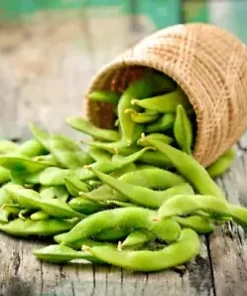 10 Edamame Soy bean Seeds for Planting 