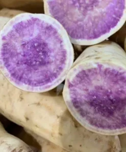 10 Okinawa Purple Sweet Potato Slips -Cuttings - organically grown - Khoai Lang