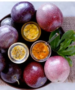 10 Passion Fruit Cuttings 8”-10” long fresh cuttings cut same day ship