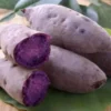 10 Purple Sweet potato Slips - Cuttings Sweet Potato Plants / Khoai Lang Tím