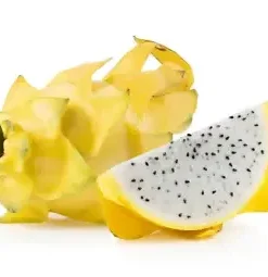 10+ Yellow Dragonfruit Seeds: Pitaya Dragon Fruit Tree Cactus Hylocereus
