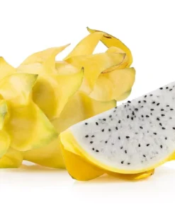 10+ Yellow Dragonfruit Seeds: Pitaya Dragon Fruit Tree Cactus Hylocereus