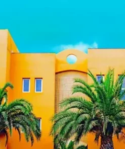 100 Canary Island Date Palm Seeds (Phoenix Canariensis) Dates, Edible Fruit Tree