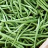 100 GREEN BEAN SEEDS, BULK Jade Bush Bean for Planting,