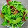 1000+ Gourmet Lettuce Blend Seeds | Mixed Salad Bowl Lettuce, Bulk