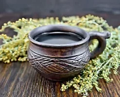 1000+ Sweet Wormwood Herb Seeds (Artemisia annua) Sweet Annie Sagewort