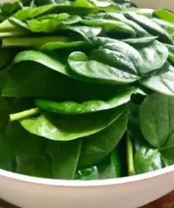 150 Malabar Spinach Seeds - Giant Roundleaf Variety, Edible Vine VEGE