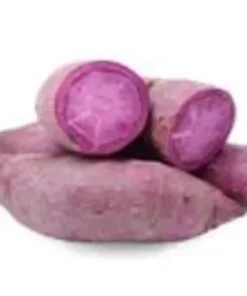 2 Purple Sweet Potato Plants In A Cup - Molokai Sweet Potato Plants