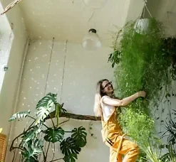 20 Asparagus Fern Sprengeri Seeds | INDOOR PLANT Hanging Potted