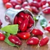 20 Cornelian Cherry Fruit Tree Seeds | Edible Dogwood Berry Shrub,