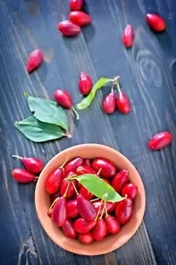 20 Cornelian Cherry Fruit Tree Seeds | Edible Dogwood Berry Shrub,