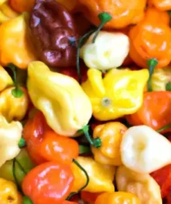 20+ Habanero Pepper Rainbow Mix Seeds | HOT Color Blend, Non-GMO Vege,