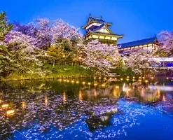 20 Japanese Cherry Blossom Tree Seeds, P. serrulata Pink Flowering Sakura Bonsai