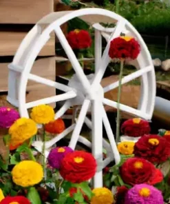 200+ Zinnia Pom Pom Flower Seeds - Pumila Pompon Mix (Cut and Come Again)