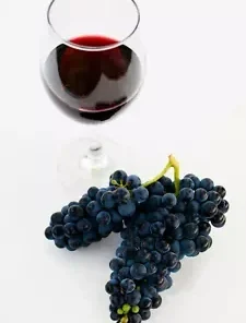 30 Grape-vine Seeds, Grape Seeds for Planting, Wine Grape Fruit, Vitis vinifera