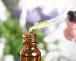 30+ PATCHOULI SEEDS (Pogostemon cablin) Herb Plant, Fragrance Oil Source