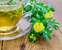 30+ Roseroot Sedum (Rhodiola Rosea) Seeds | Perennial Stonecrop, Medicinal Herb