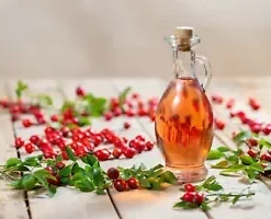 35 Rosa Canina Seeds - Pink Flowering Rosehip Rose Bush,