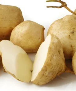 40 Jicama Seeds | Mexican Yam Bean | Non-GMO Root Potato, Tuber Vegetable, Fruit