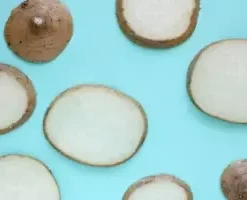 40 Jicama Seeds | Mexican Yam Bean | Non-GMO Root Potato, Tuber Vegetable, Fruit